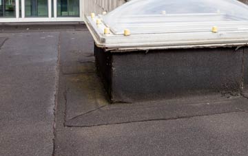 disadvantages of Mount Norris flat roofs
