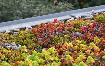 the cost of Mount Norris green roof installation