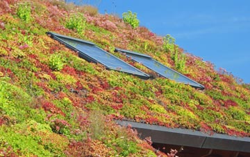Mount Norris living roof systems