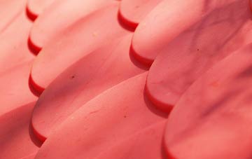 Mount Norris plastic roof costs