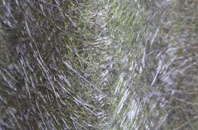 Mount Norris fibreglass roof work